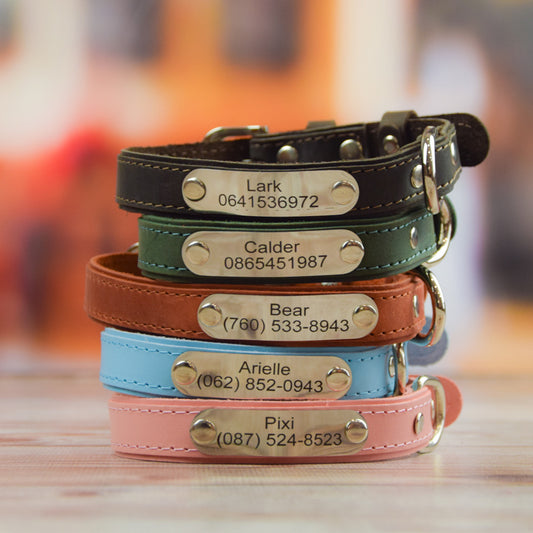 Dog collar